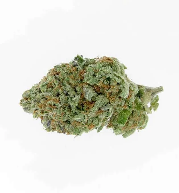 Alien OG