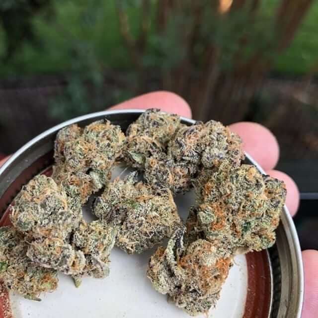 cali weed kaufen